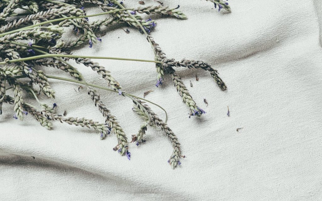 Fleurs de Lavande Vraie